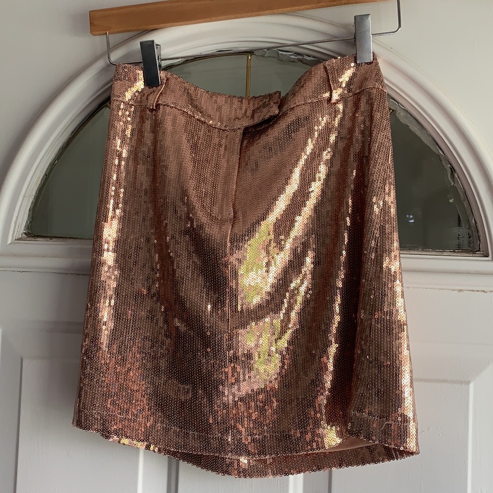BB Dakota modern love sequin skirt